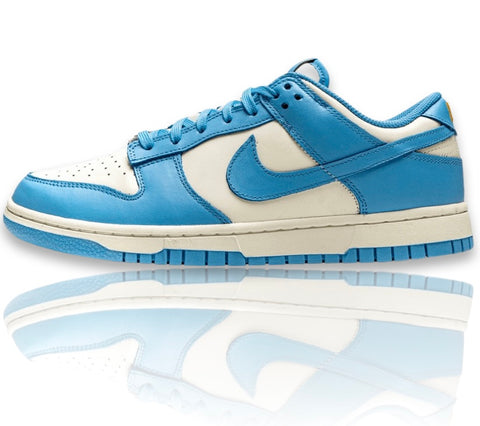 Nike Dunk Low Coast (W)