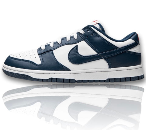 Nike Dunk Low Valerian Blue